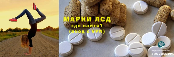 дживик Верхний Тагил