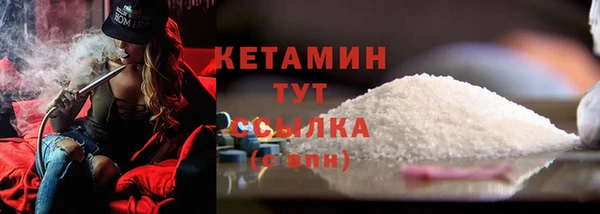 гидра Бородино