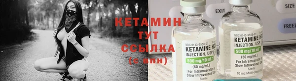 дживик Верхний Тагил