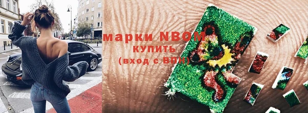 гидра Бородино