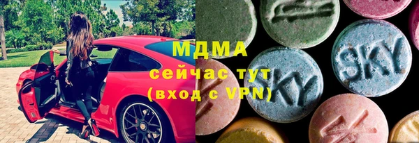 дживик Верхний Тагил