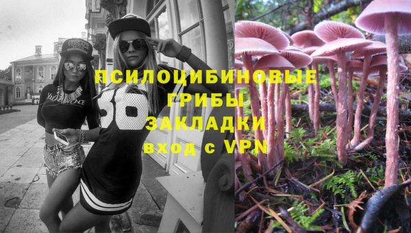 дживик Верхний Тагил