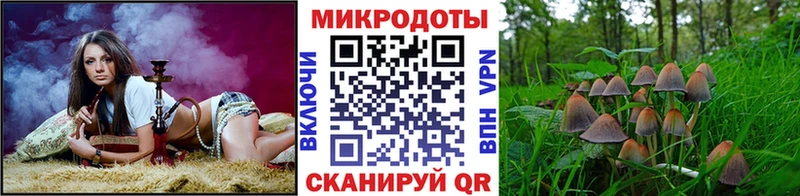 Галлюциногенные грибы мухоморы  Ишим 
